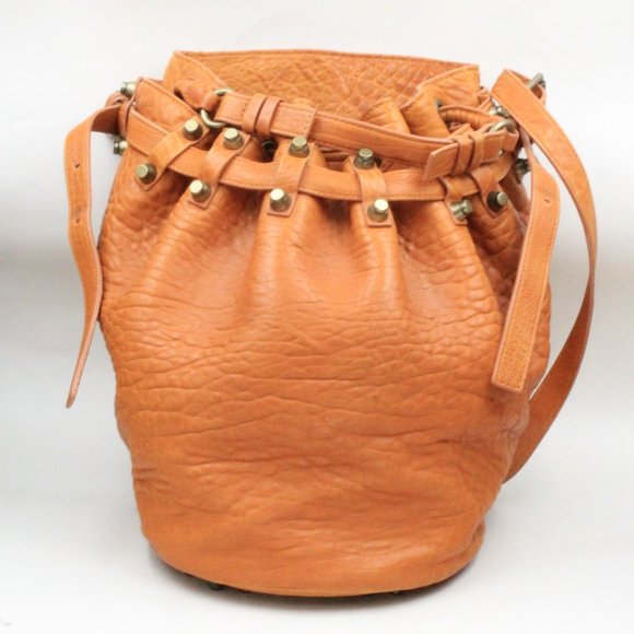 Alexander Wang Authentic Diego Orange Textured Bucket Bag - Picture 2 of 14
